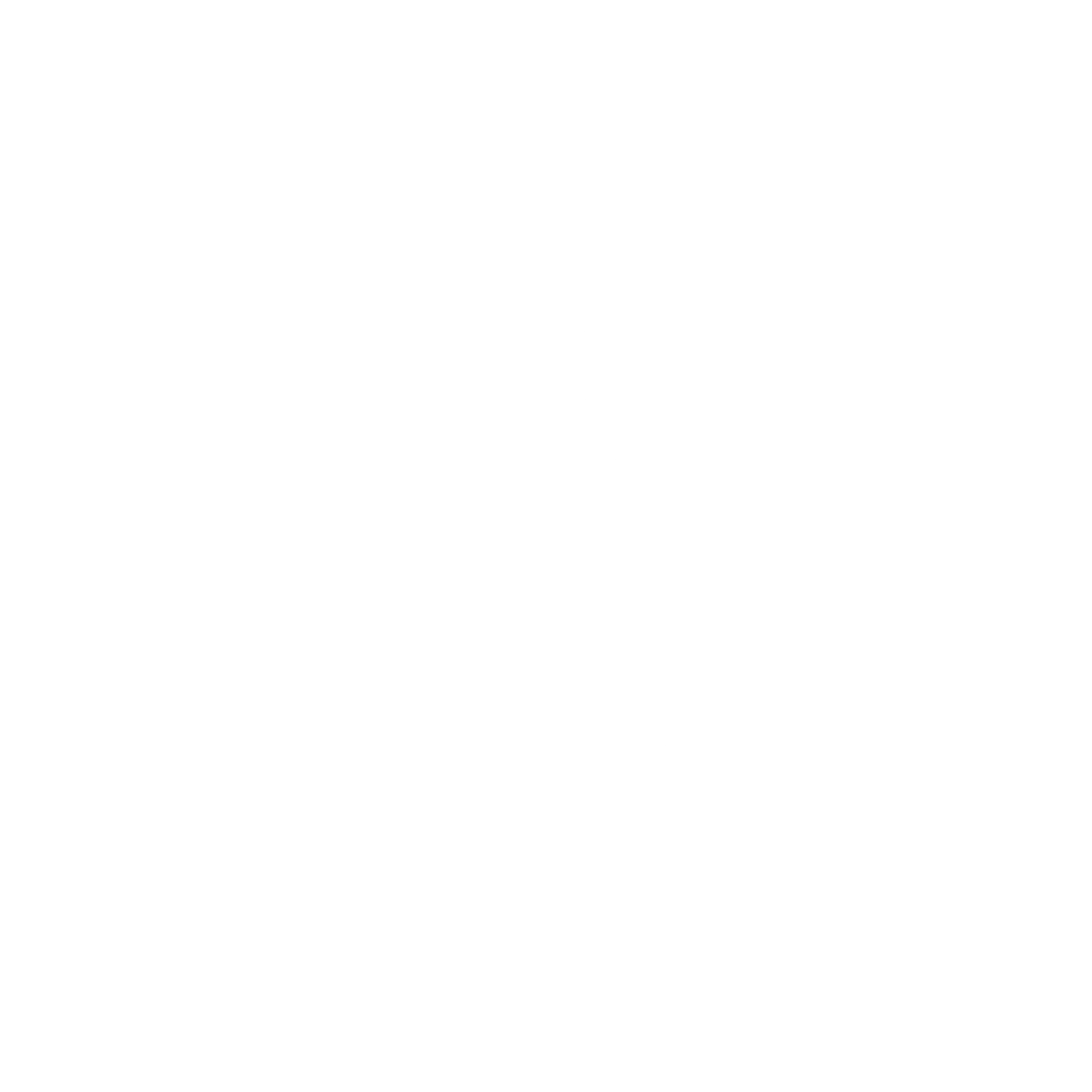 logo tapajos branco